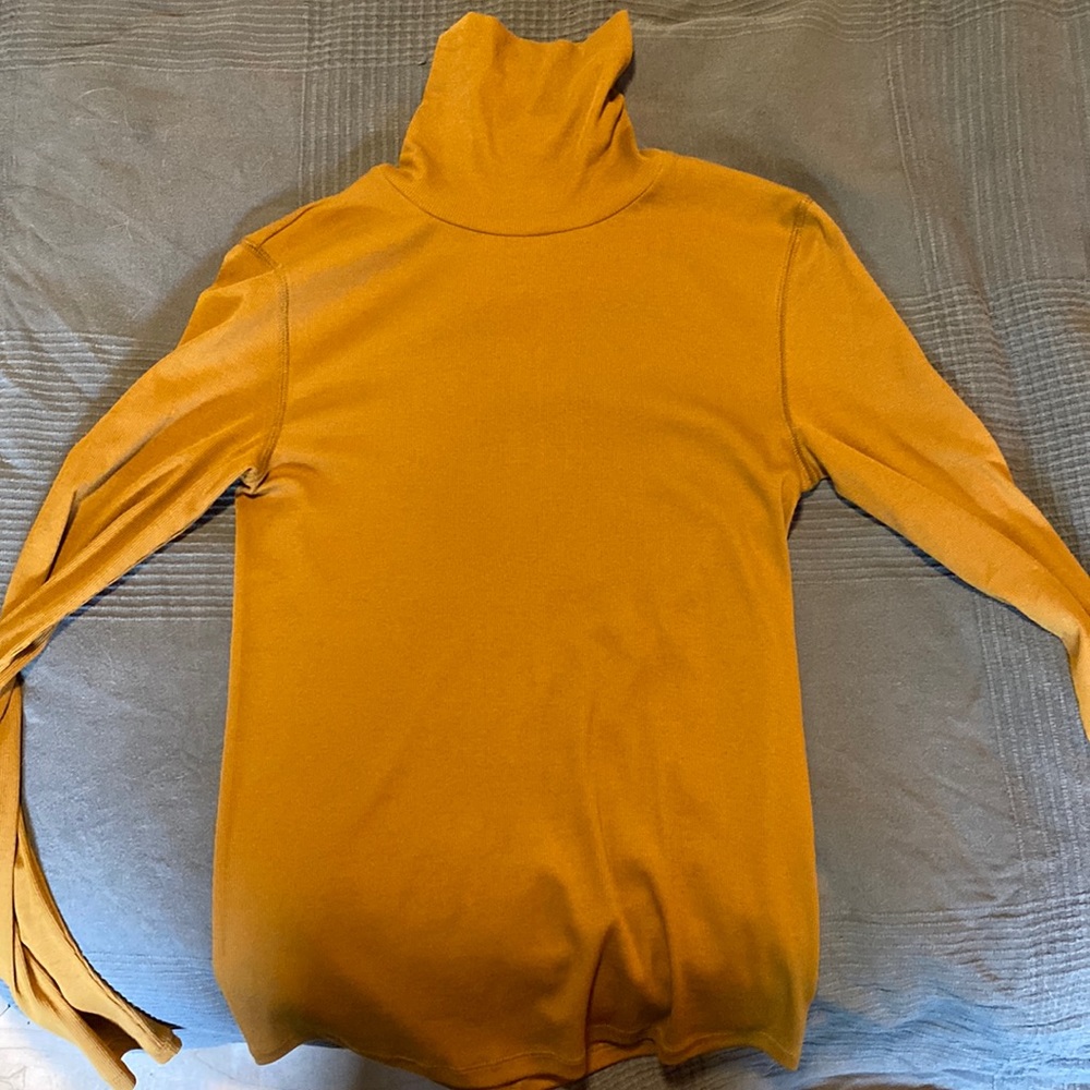 Everlane Pima Micro Rib Turtleneck